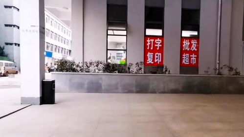 武汉江夏工厂随记 夏日园区的烟火与活力